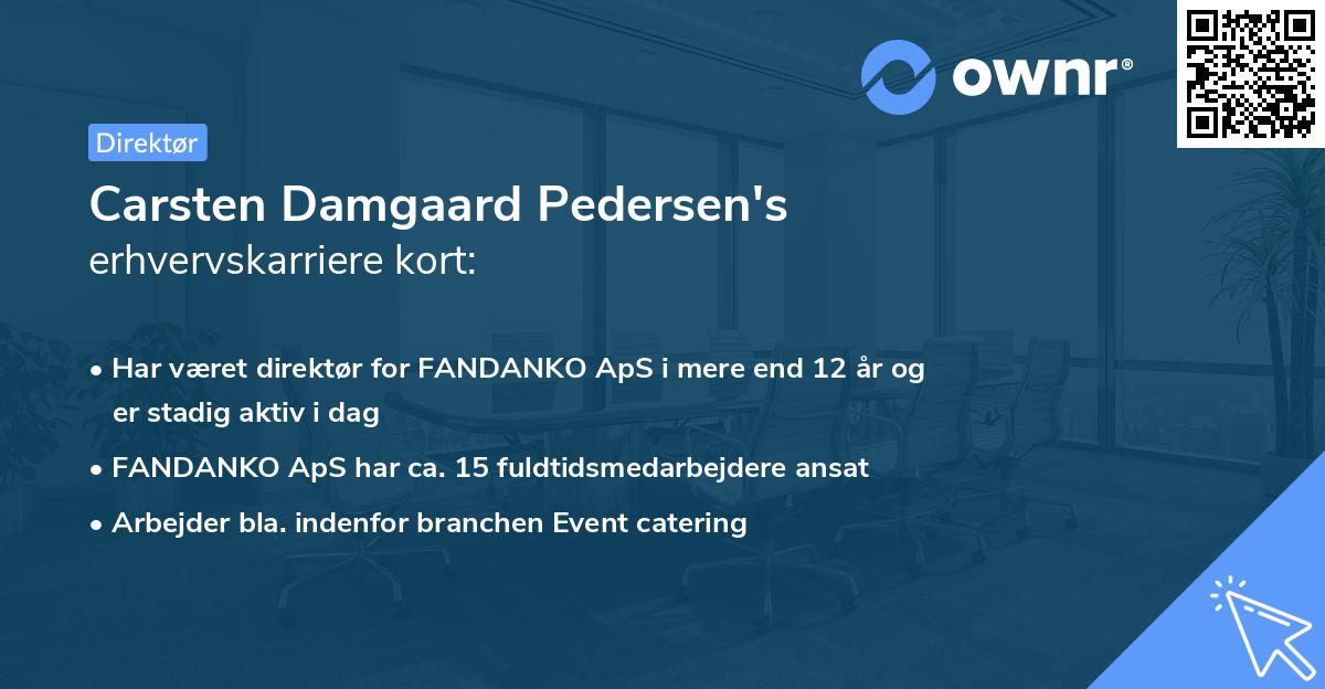 Carsten Damgaard Pedersen's erhvervskarriere kort