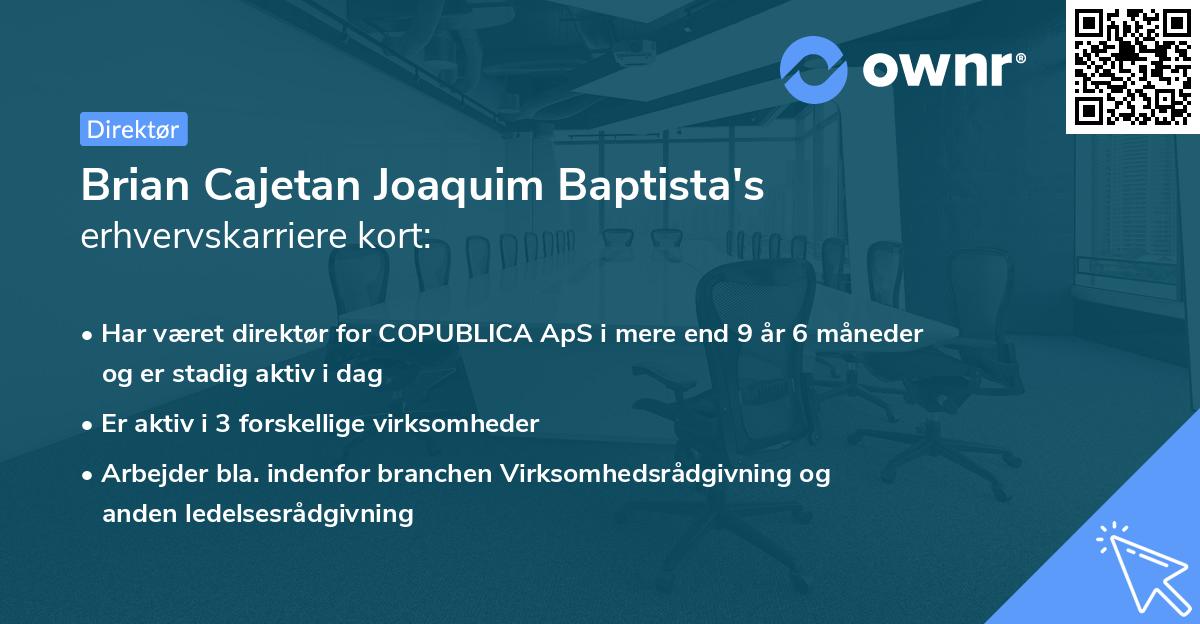 Brian Cajetan Joaquim Baptista's erhvervskarriere kort