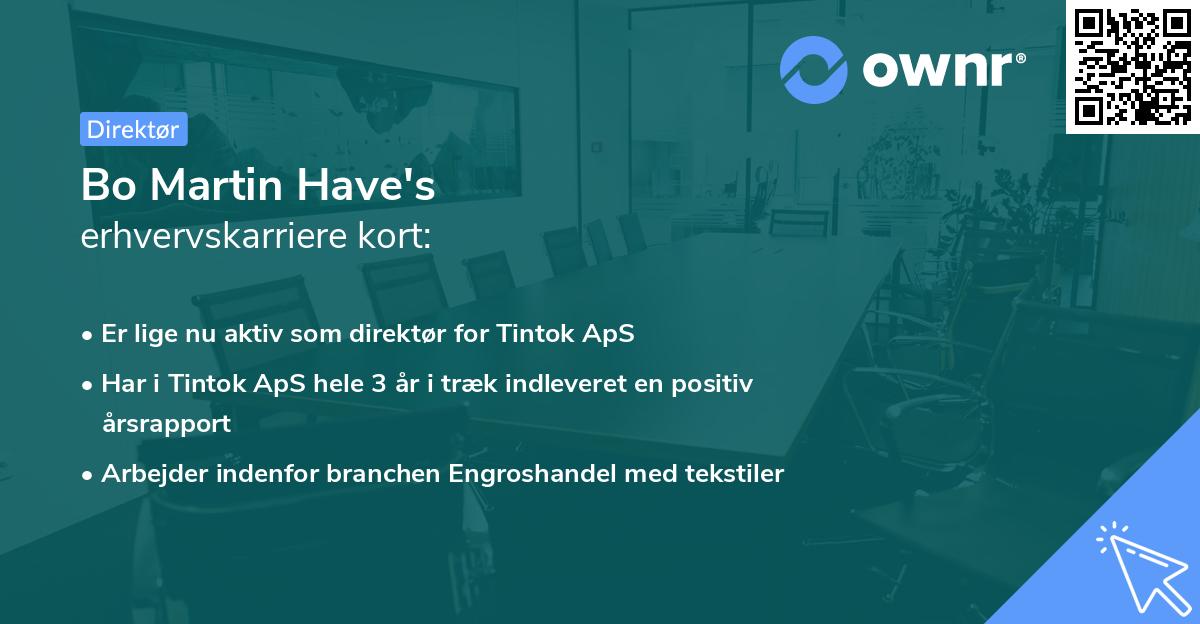 Bo Martin Have's erhvervskarriere kort