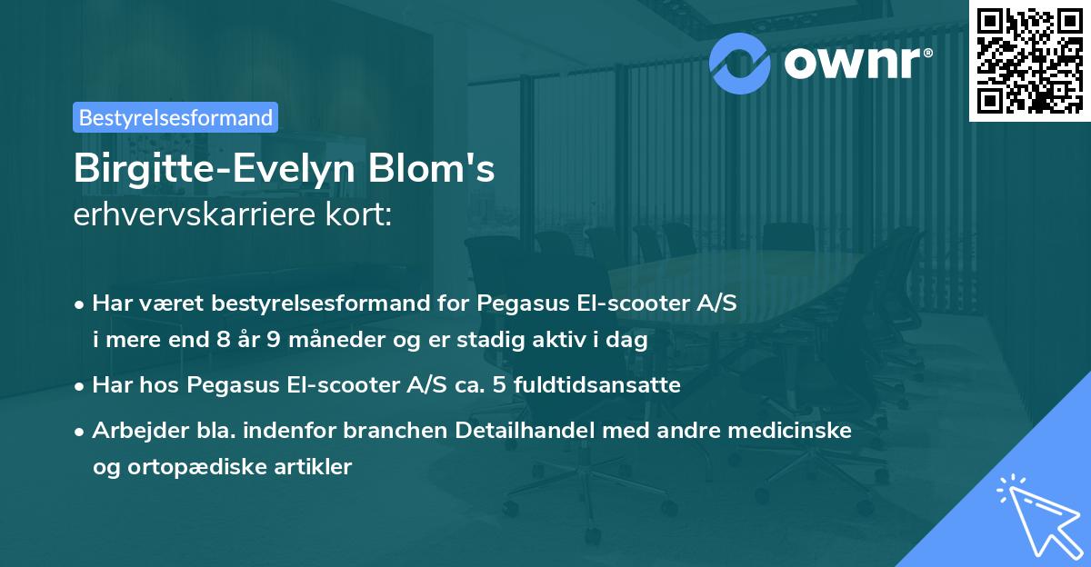 Birgitte-Evelyn Blom's erhvervskarriere kort