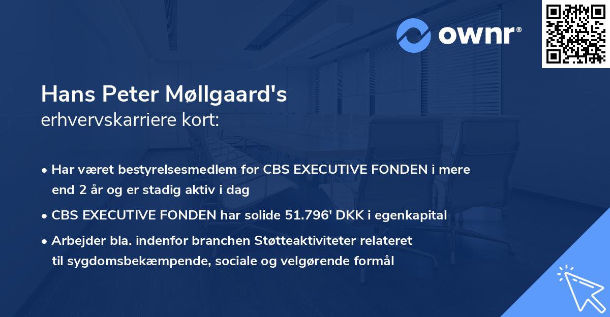 Hans Peter Møllgaard's erhvervskarriere kort