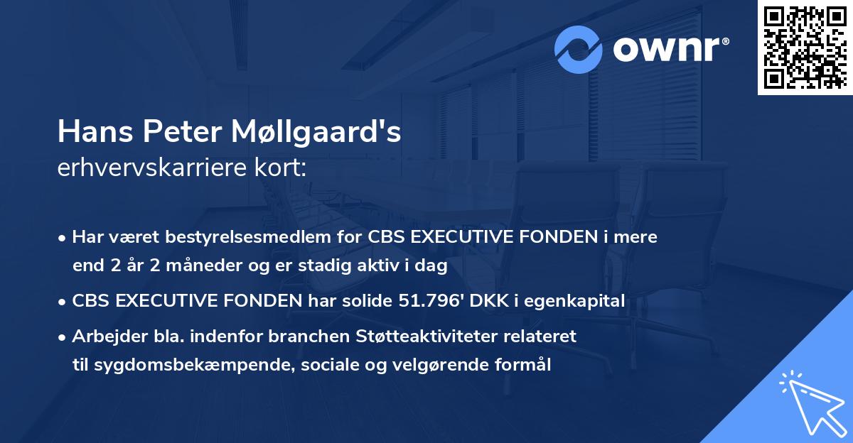 Hans Peter Møllgaard's erhvervskarriere kort