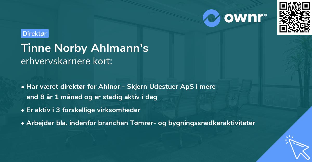 Tinne Norby Ahlmann's erhvervskarriere kort