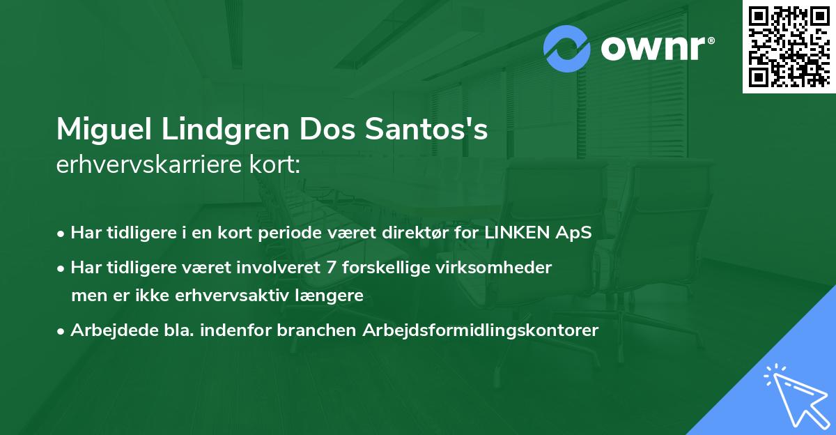 Miguel Lindgren Dos Santos's erhvervskarriere kort