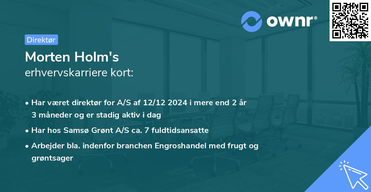 Morten Holm's erhvervskarriere kort