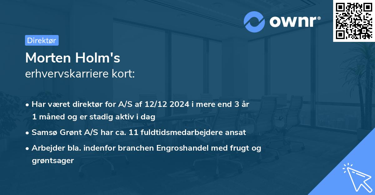 Morten Holm's erhvervskarriere kort