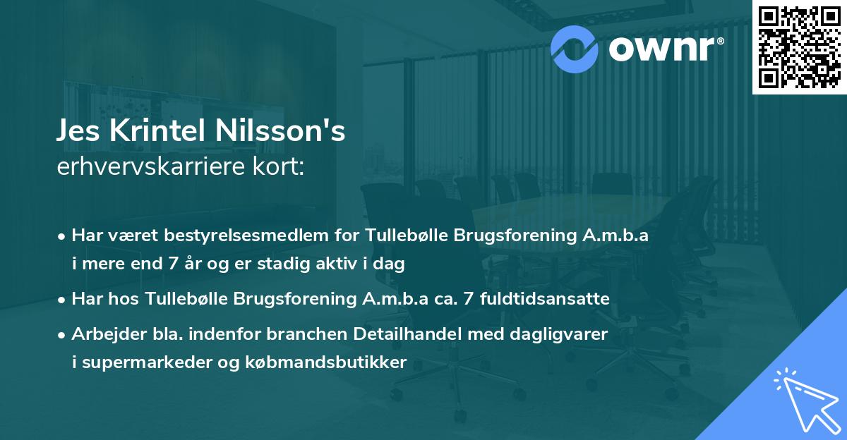 Jes Krintel Nilsson's erhvervskarriere kort