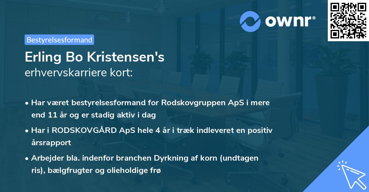 Erling Bo Kristensen's erhvervskarriere kort