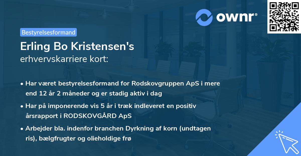 Erling Bo Kristensen's erhvervskarriere kort