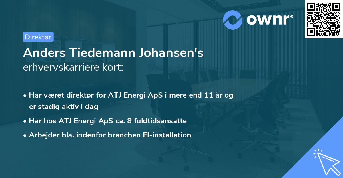 Anders Tiedemann Johansen's erhvervskarriere kort