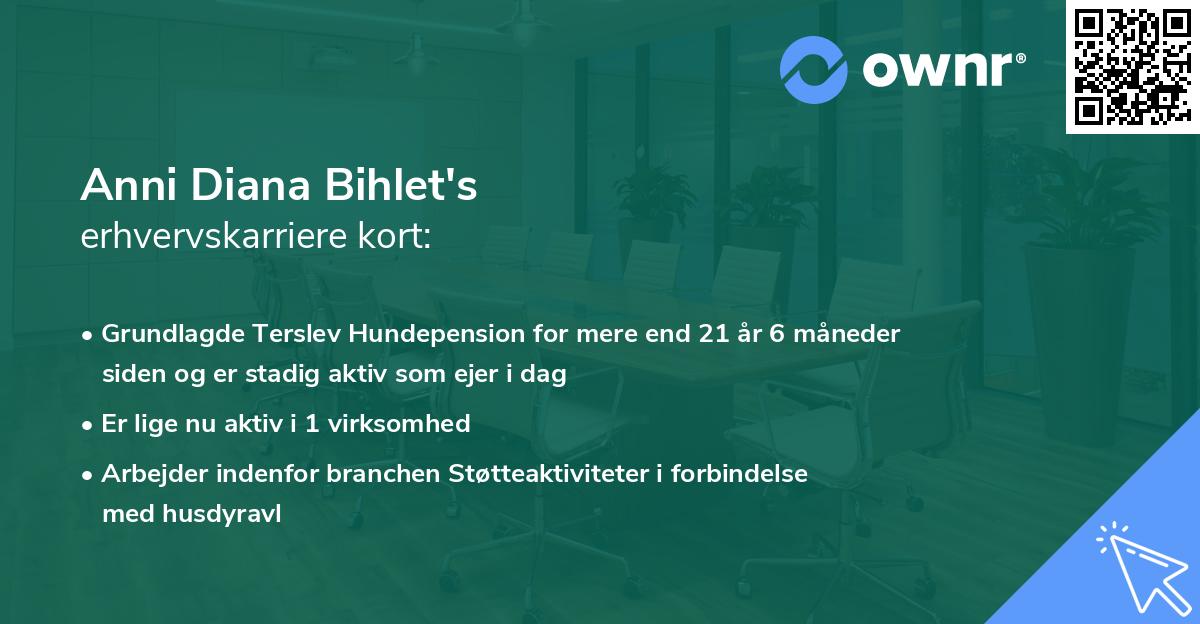 Anni Diana Bihlet's erhvervskarriere kort