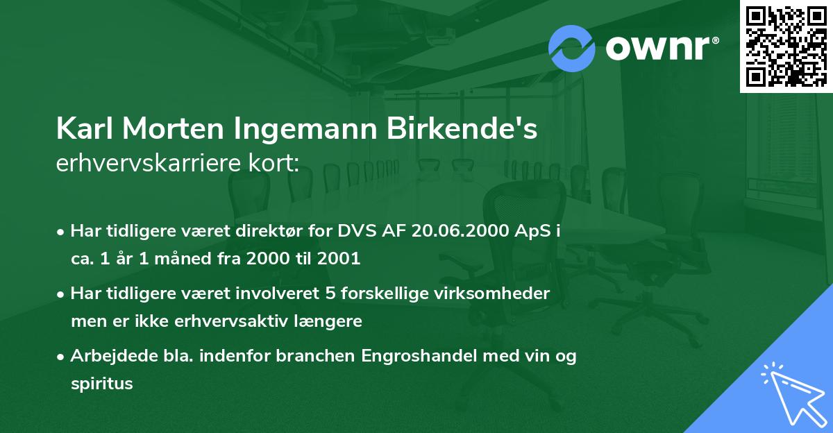 Karl Morten Ingemann Birkende's erhvervskarriere kort