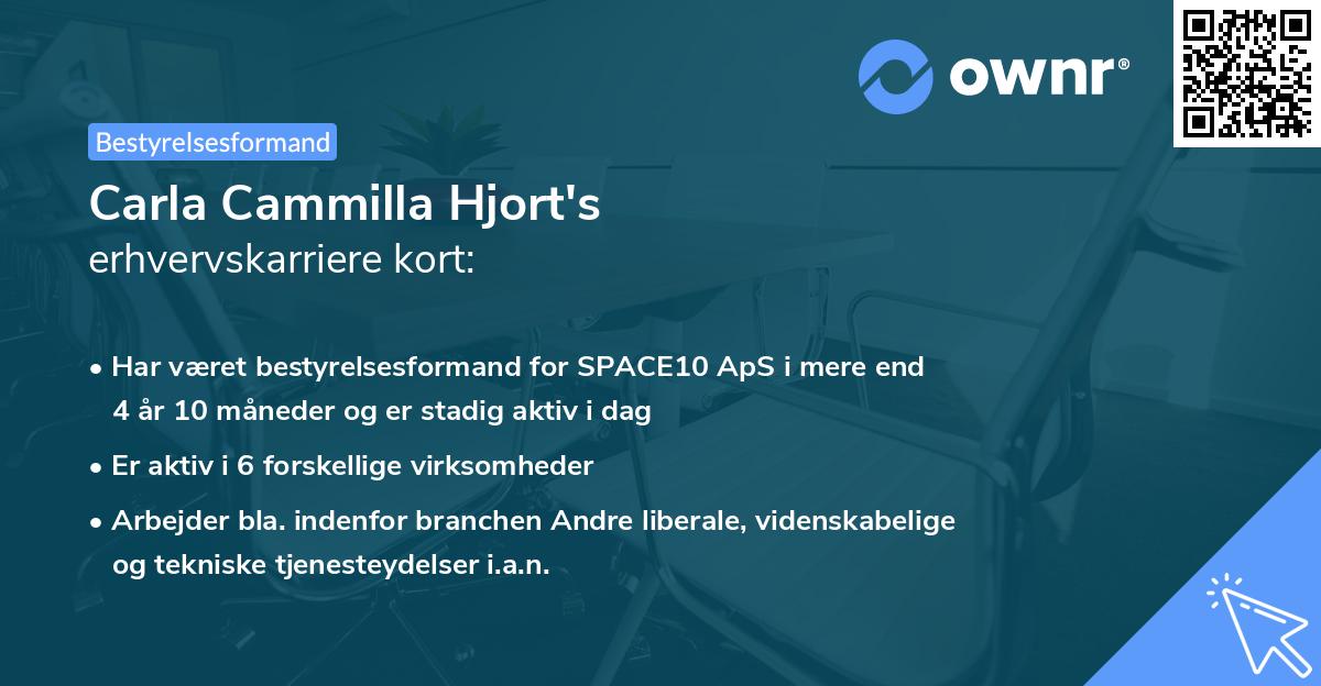 Carla Cammilla Hjort's erhvervskarriere kort