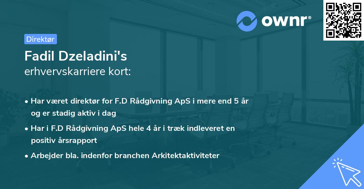 Fadil Dzeladini's erhvervskarriere kort