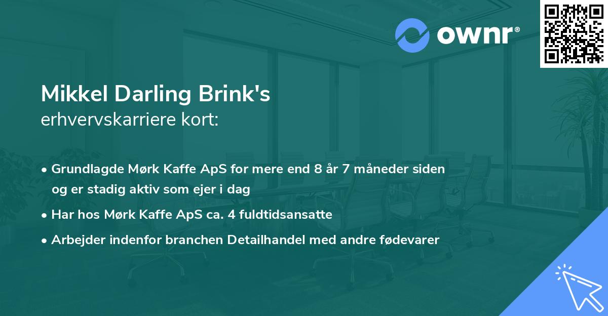 Mikkel Darling Brink's erhvervskarriere kort