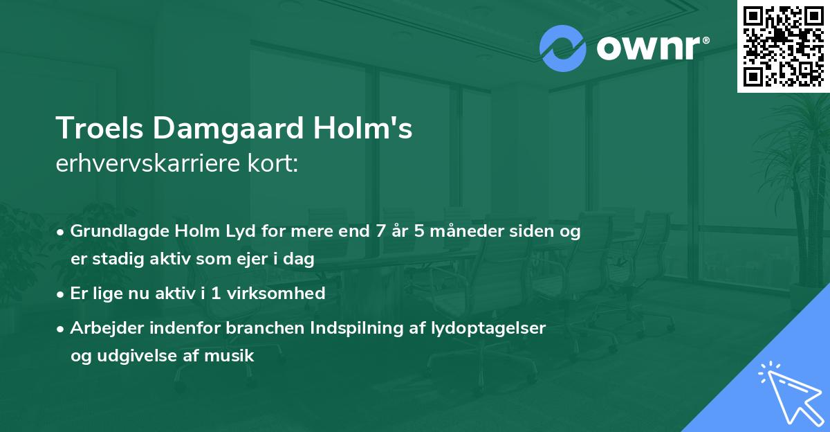 Troels Damgaard Holm's erhvervskarriere kort