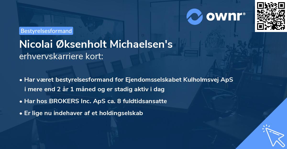 Nicolai Øksenholt Michaelsen's erhvervskarriere kort