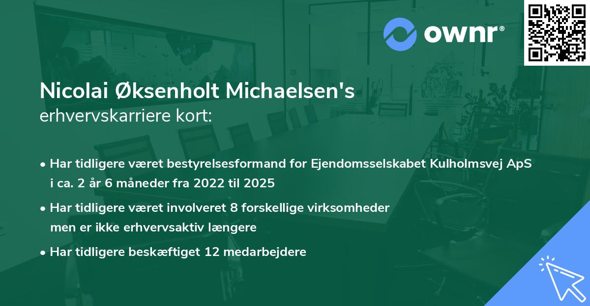 Nicolai Øksenholt Michaelsen's erhvervskarriere kort
