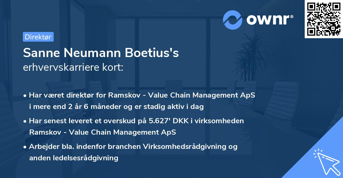 Sanne Neumann Boetius's erhvervskarriere kort
