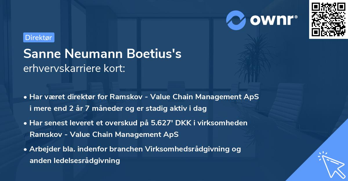Sanne Neumann Boetius's erhvervskarriere kort