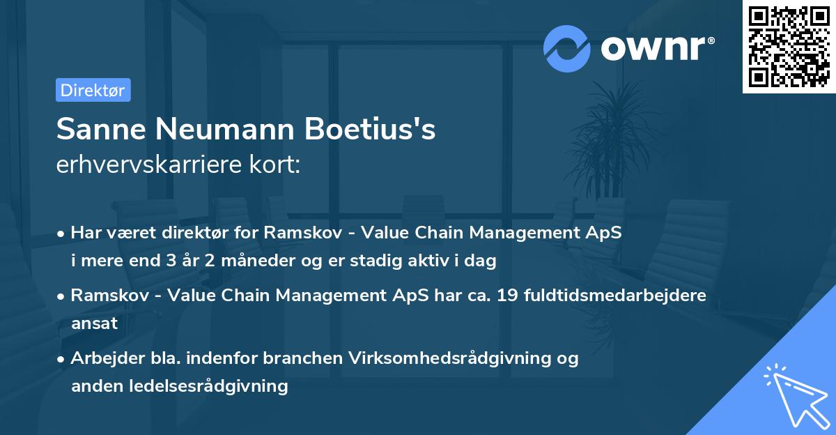 Sanne Neumann Boetius's erhvervskarriere kort