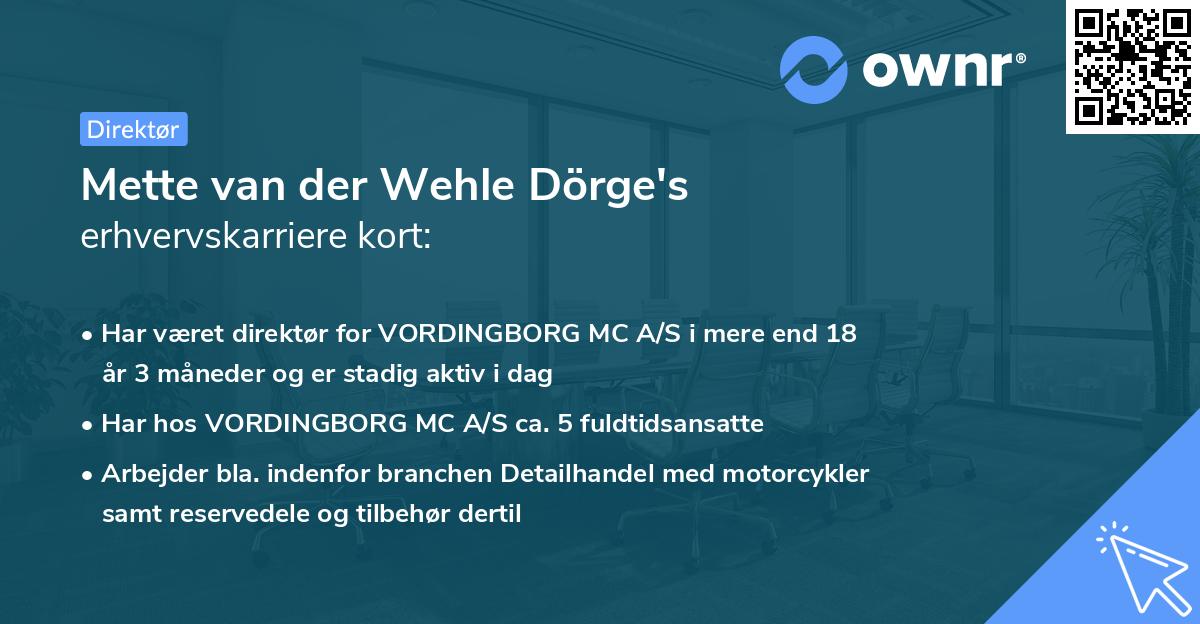 Mette van der Wehle Dörge's erhvervskarriere kort