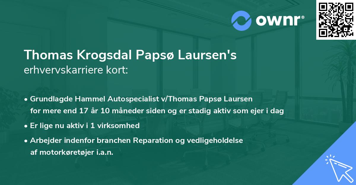 Thomas Krogsdal Papsø Laursen's erhvervskarriere kort