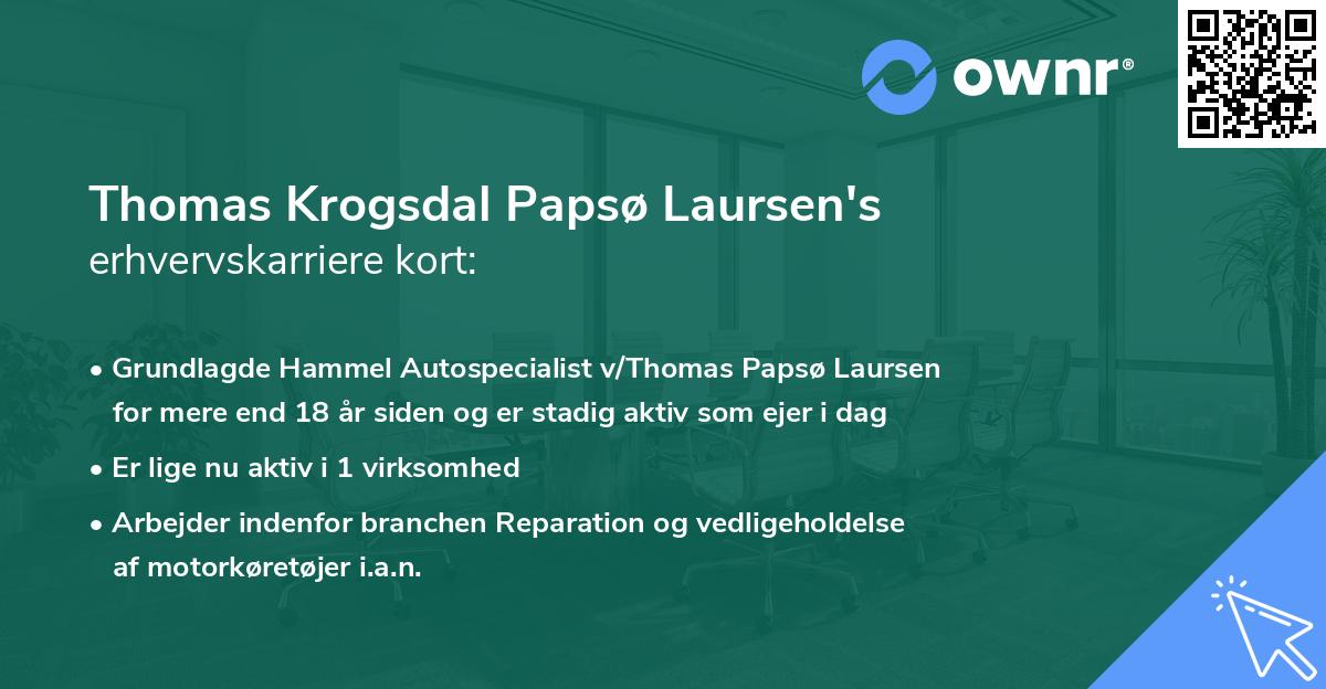 Thomas Krogsdal Papsø Laursen's erhvervskarriere kort