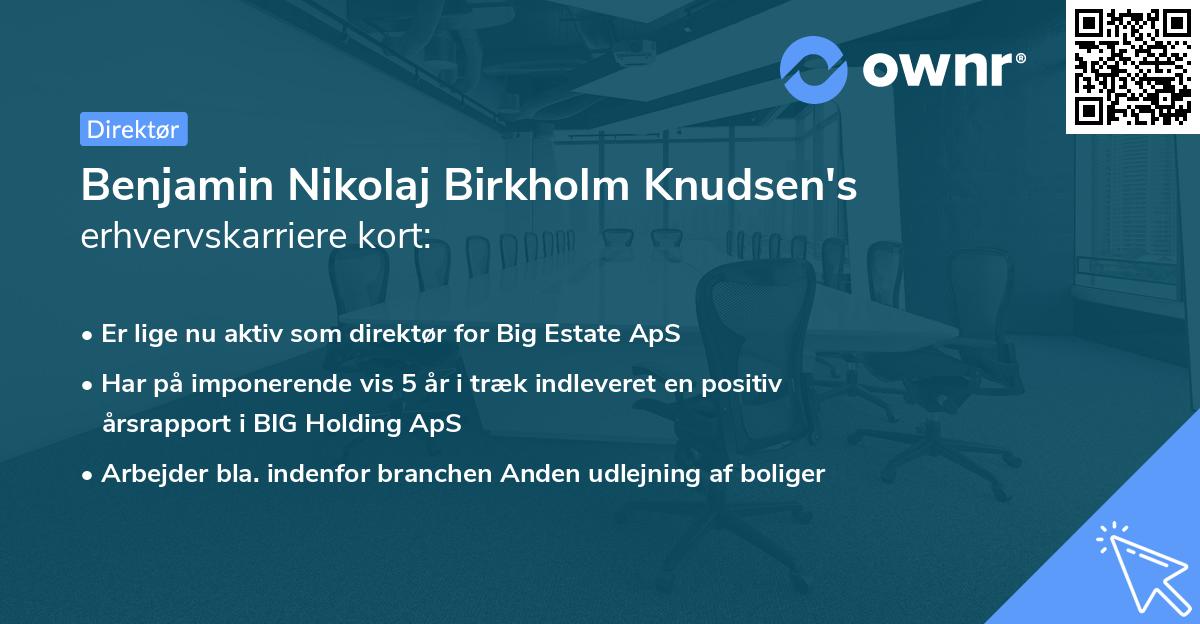 Benjamin Nikolaj Birkholm Knudsen's erhvervskarriere kort