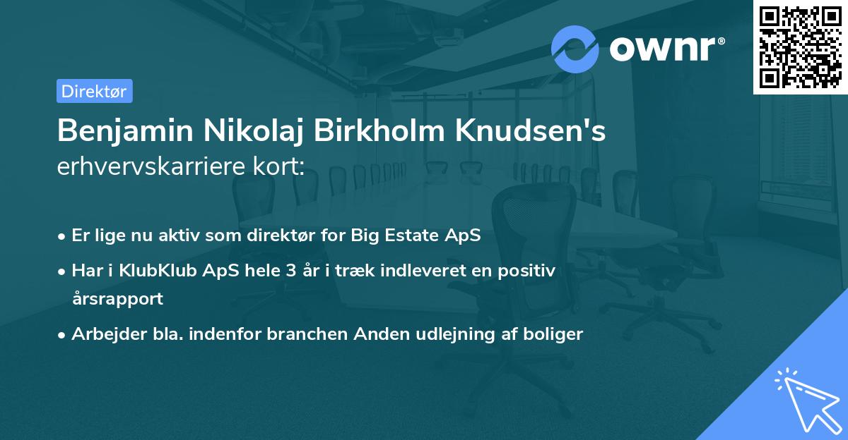 Benjamin Nikolaj Birkholm Knudsen's erhvervskarriere kort