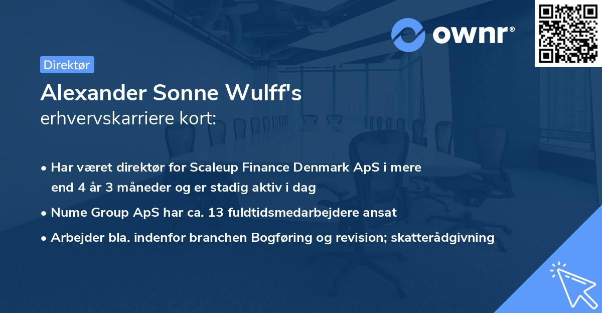 Alexander Sonne Wulff's erhvervskarriere kort
