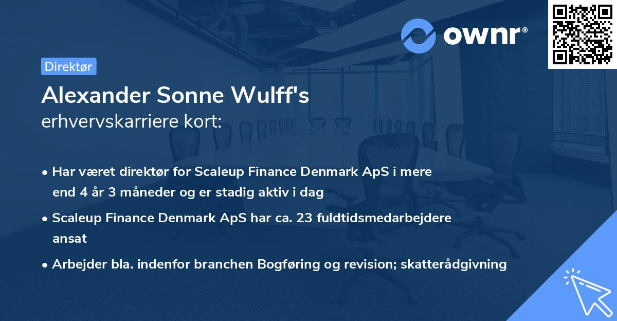 Alexander Sonne Wulff's erhvervskarriere kort