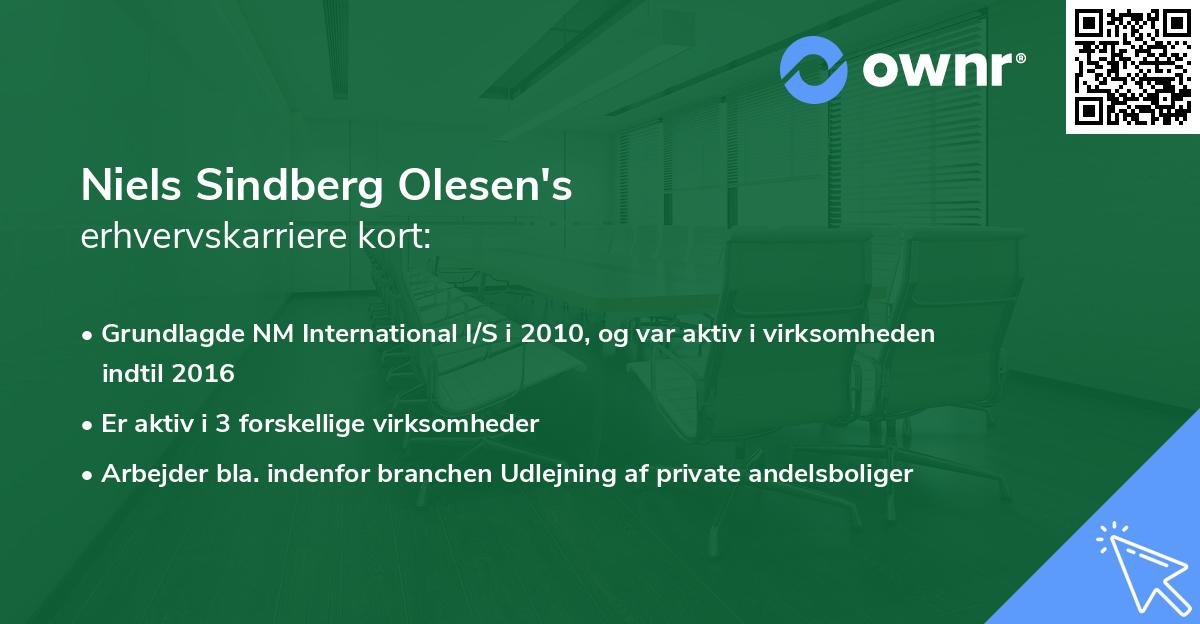 Niels Sindberg Olesen's erhvervskarriere kort