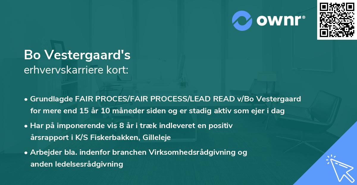 Bo Vestergaard's erhvervskarriere kort