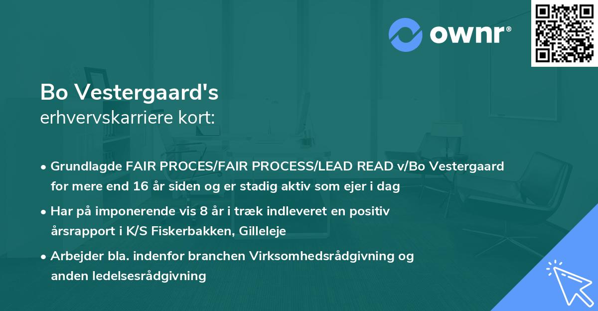 Bo Vestergaard's erhvervskarriere kort