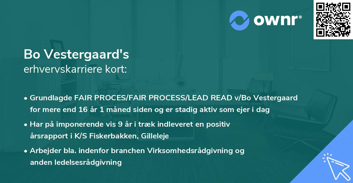 Bo Vestergaard's erhvervskarriere kort