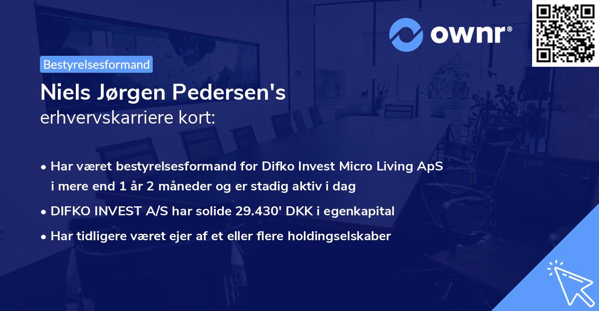 Niels Jørgen Pedersen's erhvervskarriere kort