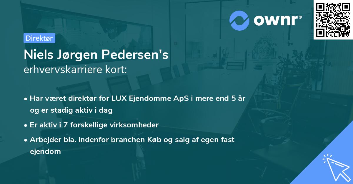 Niels Jørgen Pedersen's erhvervskarriere kort