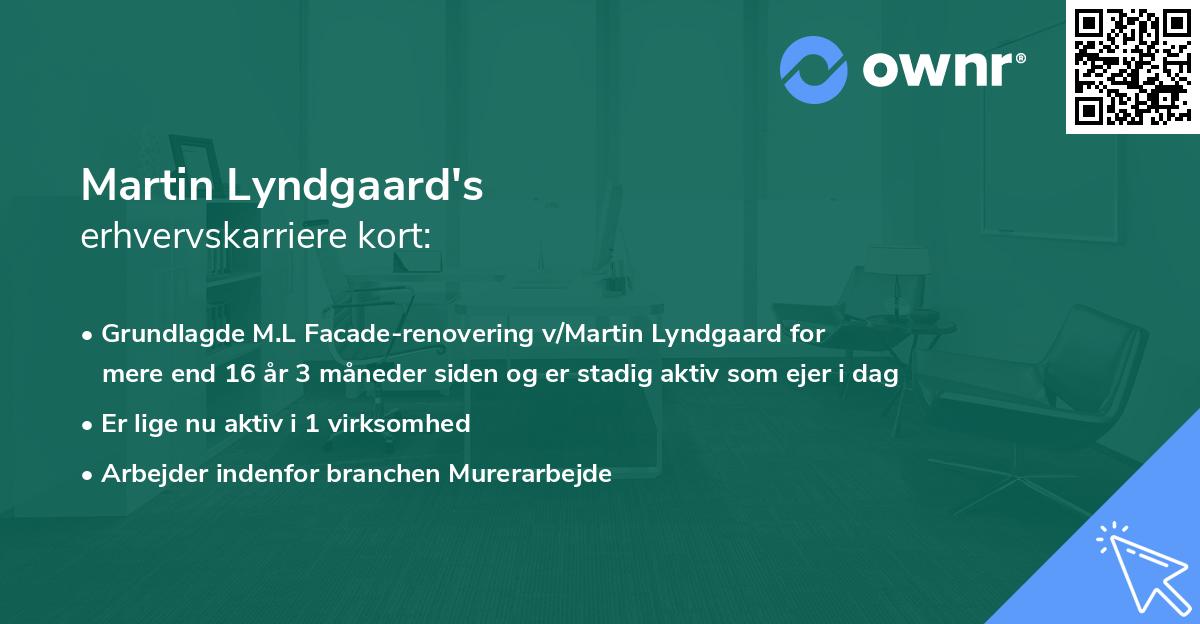 Martin Lyndgaard's erhvervskarriere kort