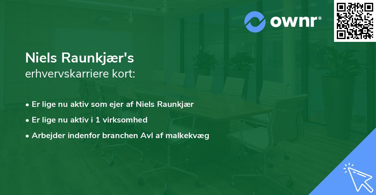 Niels Raunkjær's erhvervskarriere kort