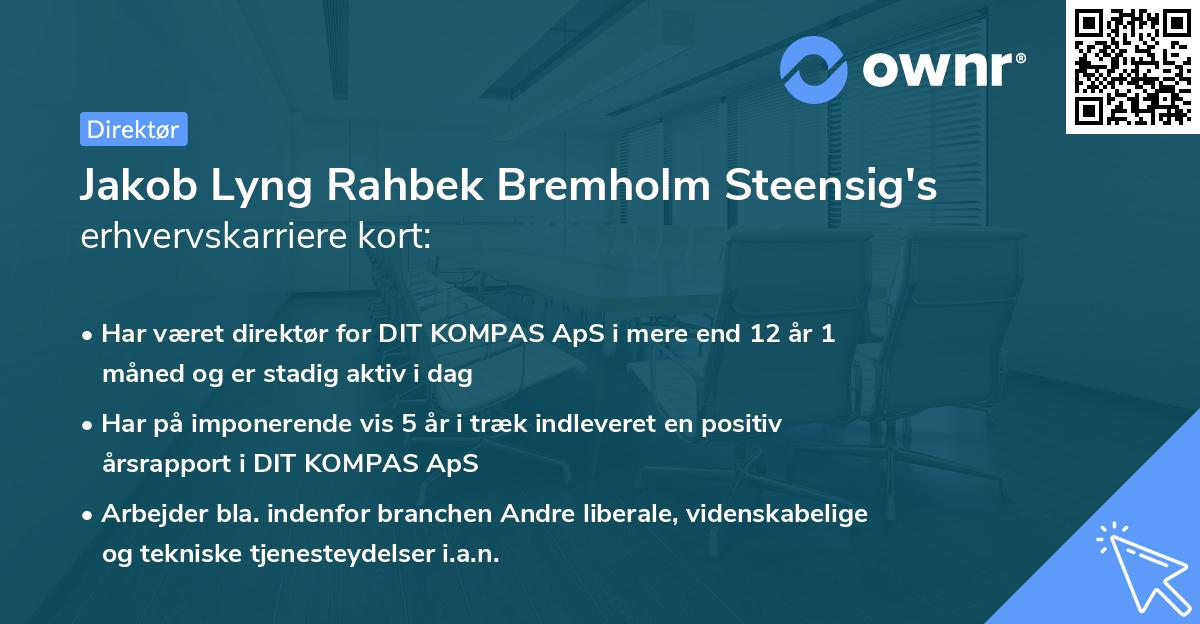 Jakob Lyng Rahbek Bremholm Steensig's erhvervskarriere kort