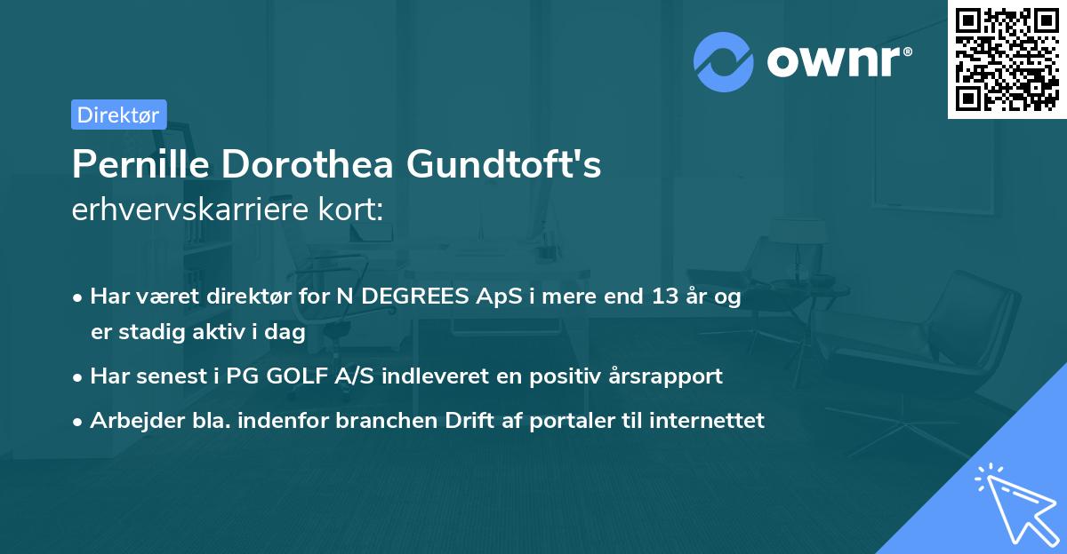 Pernille Dorothea Gundtoft's erhvervskarriere kort