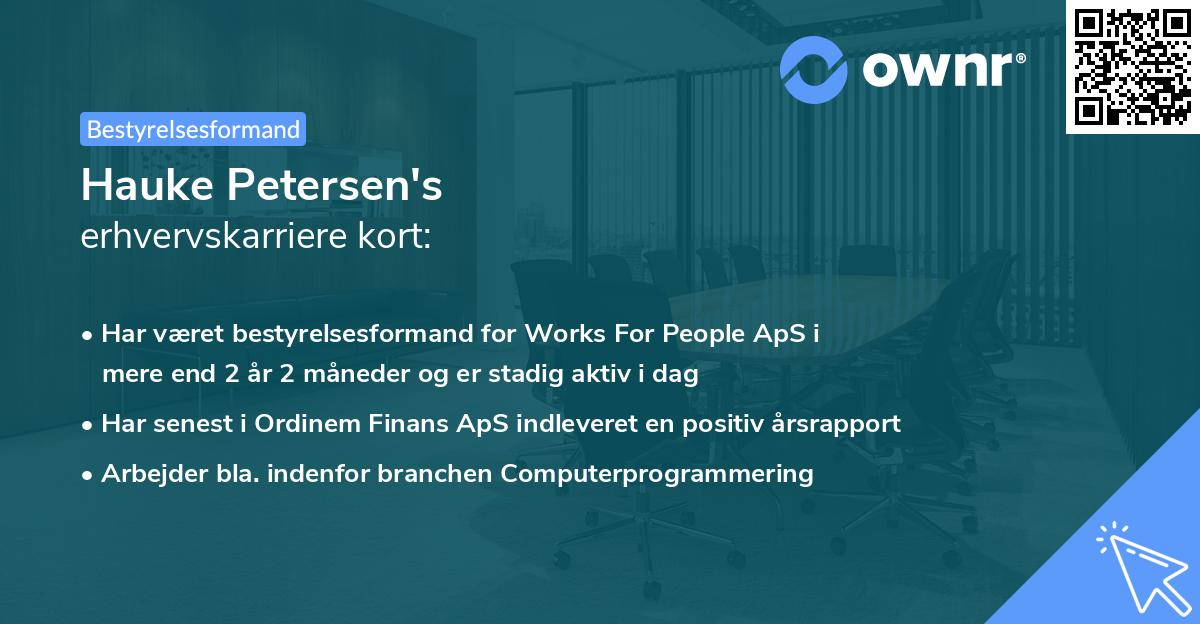 Hauke Petersen's erhvervskarriere kort