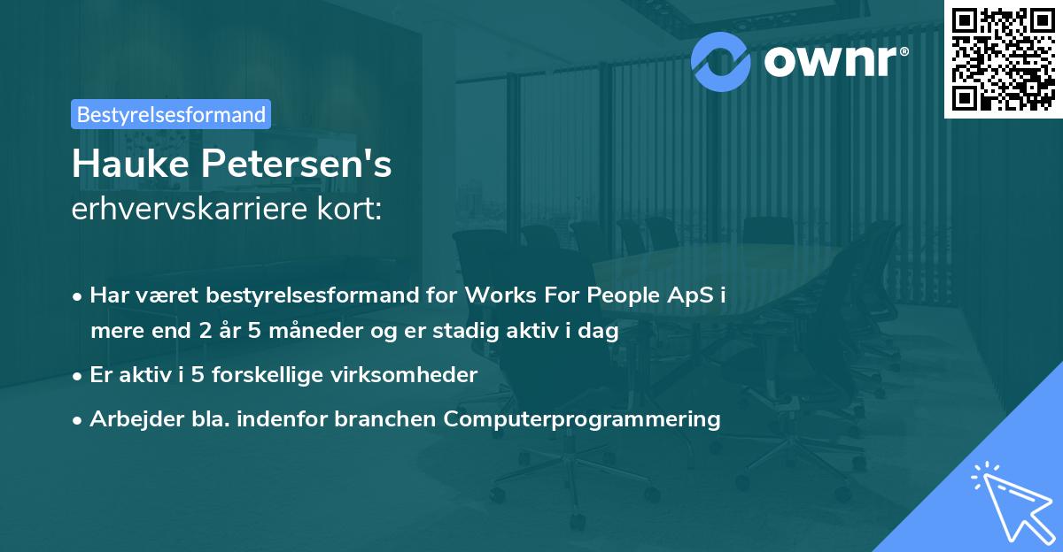 Hauke Petersen's erhvervskarriere kort