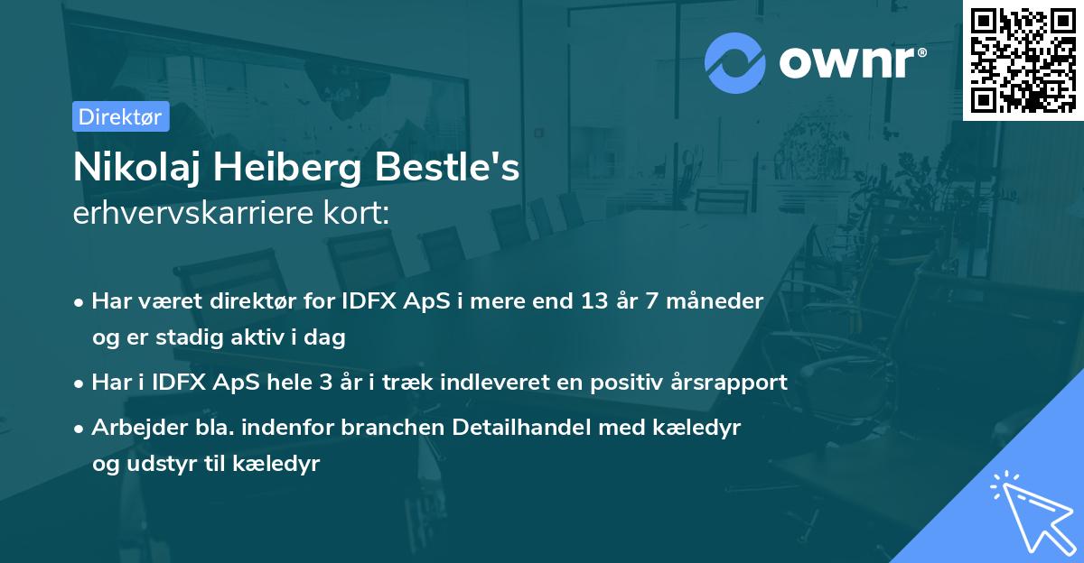 Nikolaj Heiberg Bestle's erhvervskarriere kort