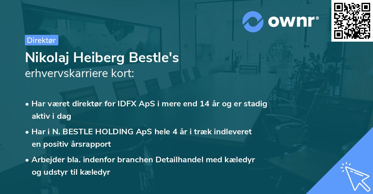 Nikolaj Heiberg Bestle's erhvervskarriere kort