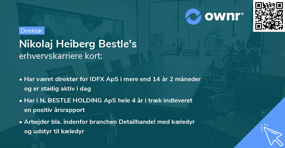 Nikolaj Heiberg Bestle's erhvervskarriere kort