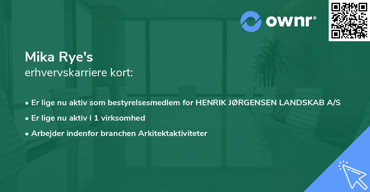 Mika Rye's erhvervskarriere kort