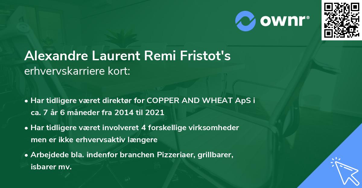 Alexandre Laurent Remi Fristot's erhvervskarriere kort