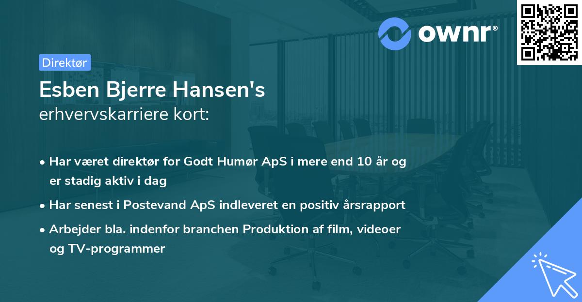 Esben Bjerre Hansen's erhvervskarriere kort